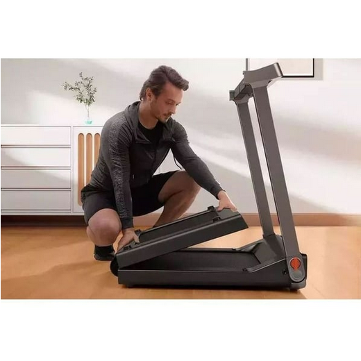 تردمیل شیائومی کینگ اسمیت واکینگ پد مدل Kingsmith WalkingPad G1 Treadmill TRG1F