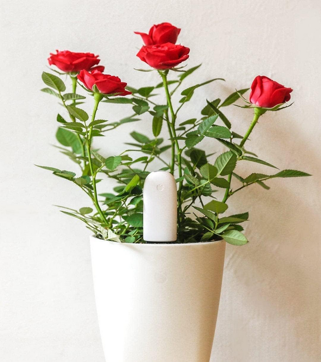 سنسور نظارت بر گل و گیاه شیائومی مدل Xiaomi Flower Care Smart Plant