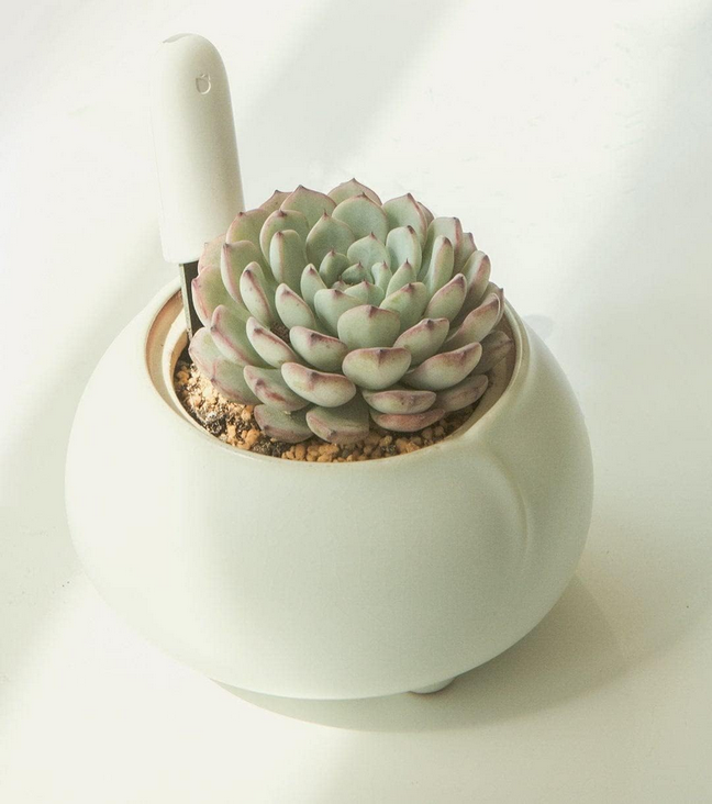سنسور نظارت بر گل و گیاه شیائومی مدل Xiaomi Flower Care Smart Plant