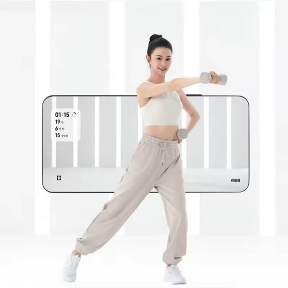 دمبل هوشمند شیائومی میجیا مدل Mijia Smart Dumbbells MJYL01YM